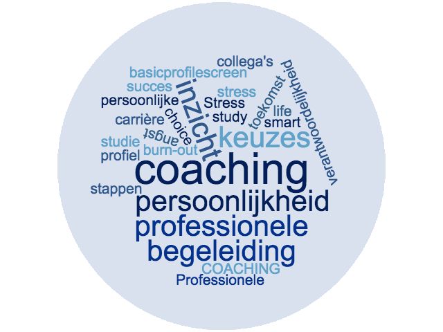 Professionele Persoonlijkheidstest | Basic Profile